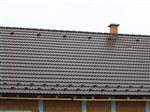 Marsova-Rasov-Nelskamp-JJJ-LongLife-cierna