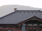 rasov-nelskamp-jjj-ll-hneda