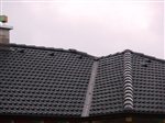 velicne-nelskamp-jjj-longlife-cierna