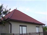 tvrdosovce-nelskamp-jjj-nibra-ds5-cervena-engoba